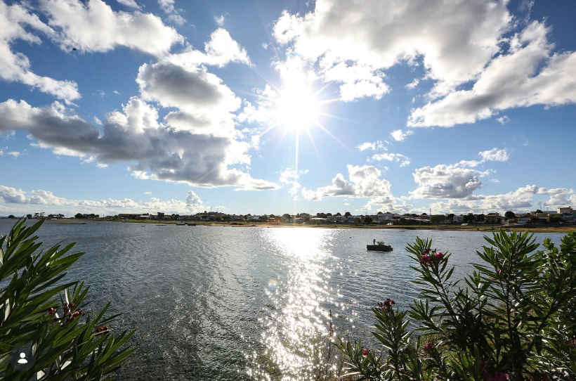 petrolandia 0003.png